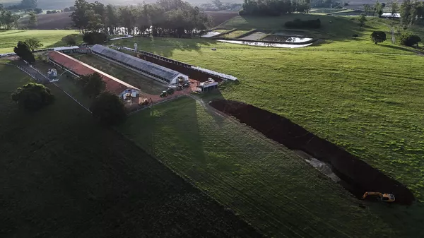 Vista aérea de uma escavadeira cavando uma vala para enterrar aves infectadas em uma granja comercial onde um surto de gripe aviária foi detectado, no município de Montenegro, Rio Grande do Sul, Brasil, 17 de maio de 2025 - Sputnik Brasil