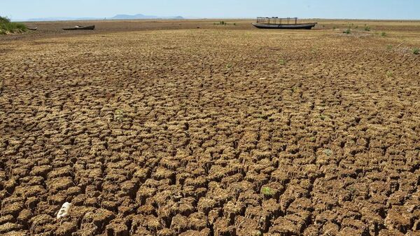 Três regiões do Brasil apresentaram seca intensa em abril, revela agência - Sputnik Brasil