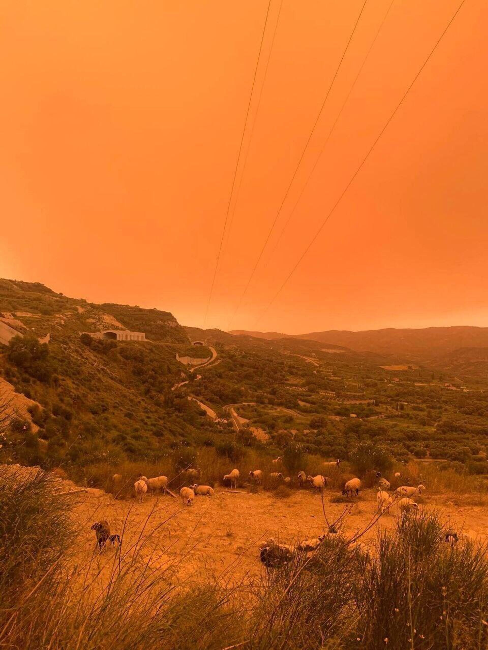 Nuvem de areia do deserto de Saara cobre a ilha grega de Creta com um manto laranja Nuvem de areia do deserto de Saara cobre a ilha grega de Creta com um manto laranja