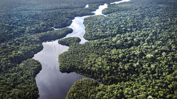 Visa aérea do rio Curuá, na Floresta Nacional de Caxiuanã, estado do Pará. Brasil, 22 de março de 2025 - Sputnik Brasil
