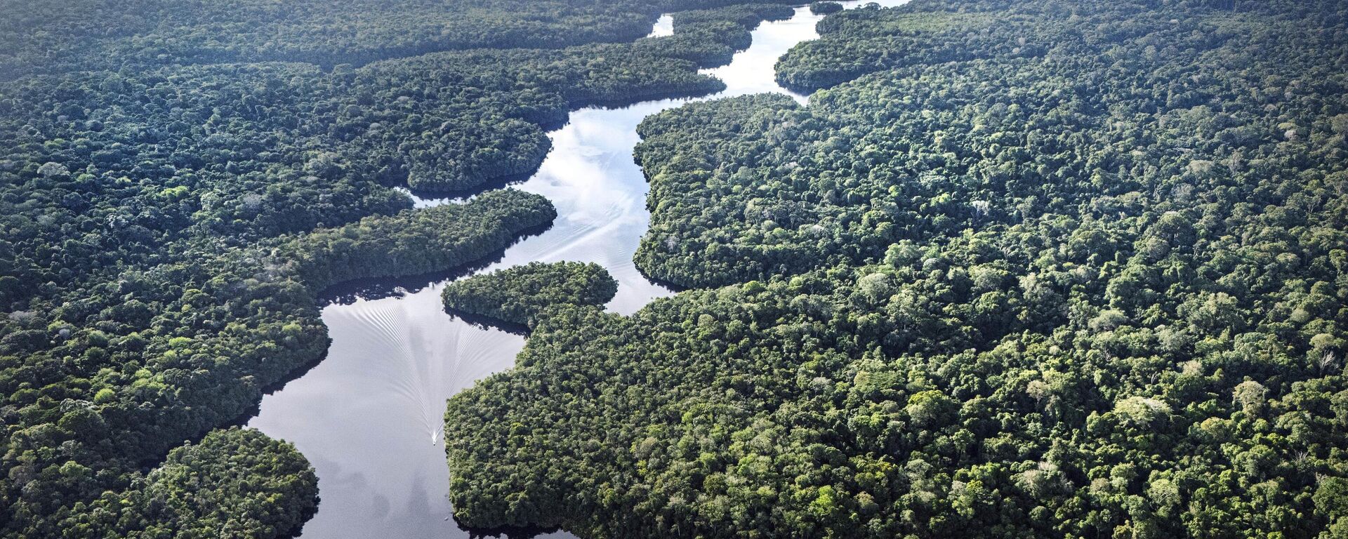 Visa aérea do rio Curuá, na Floresta Nacional de Caxiuanã, estado do Pará. Brasil, 22 de março de 2025 - Sputnik Brasil, 1920, 29.05.2025