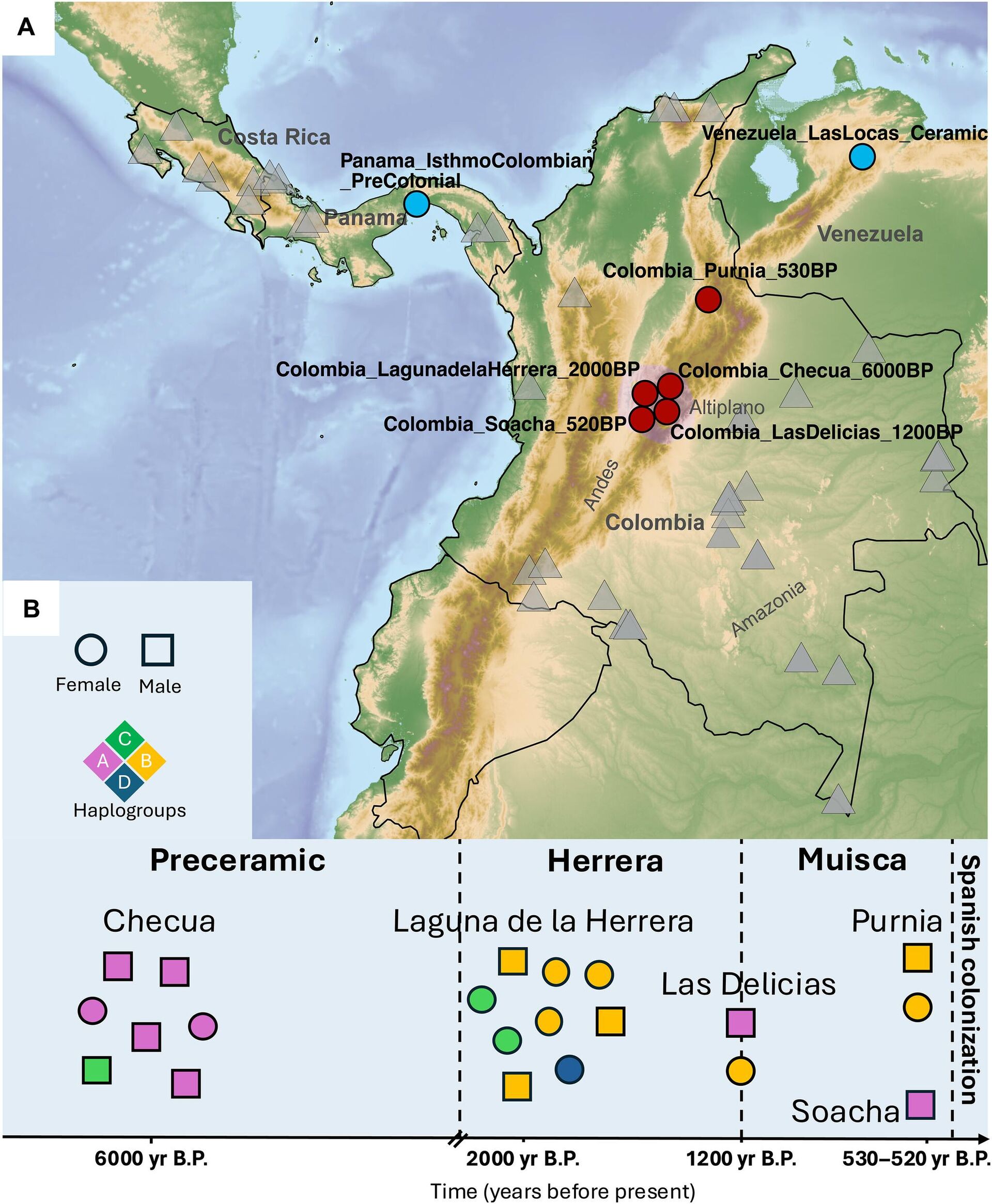 Análise das estruturas geográficas e temporais dos seres humanos antigos e modernos - Sputnik Brasil, 1920, 31.05.2025
