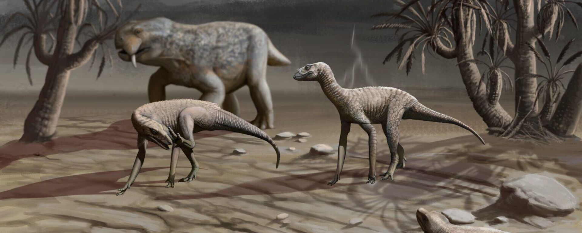 Nova espécie de silessauro Itaguyra occulta. - Sputnik Brasil, 1920, 23.09.2025