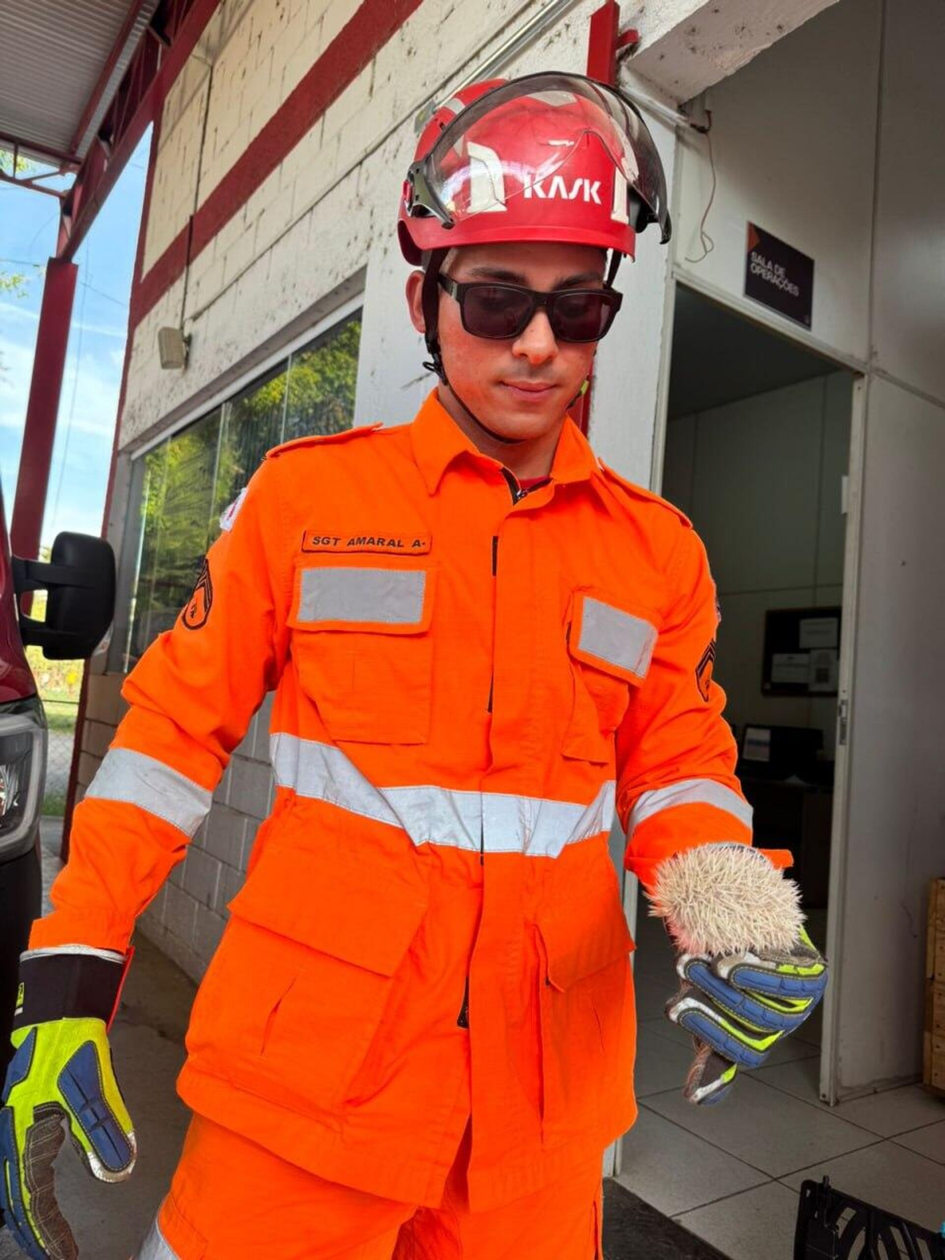 Bombeiros de Minas Gerais resgatam filhote de porco-espinho albino Bombeiros de Minas Gerais resgatam filhote de porco-espinho albino