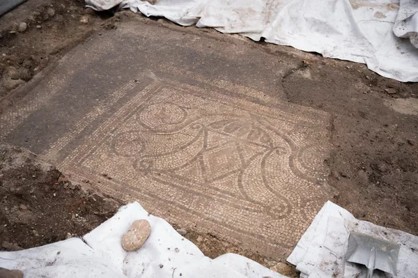 Mosaico descoberto durante escavações perto da antiga cidade romana de Ovilava na Áustria Mosaico descoberto durante escavações perto da antiga cidade romana de Ovilava na Áustria - Sputnik Brasil