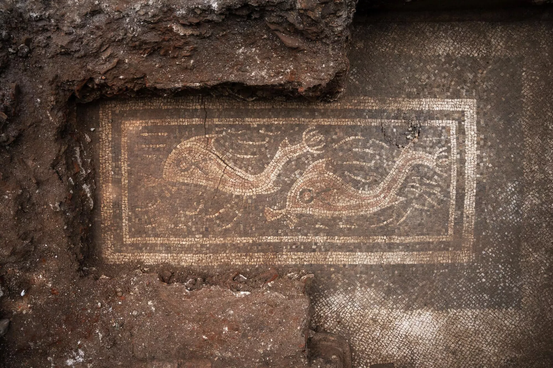Mosaico com golfinhos, descoberto durante escavações perto da antiga cidade romana de Ovilava na Áustria Mosaico com golfinhos, descoberto durante escavações perto da antiga cidade romana de Ovilava na Áustria - Sputnik Brasil, 1920, 03.06.2025