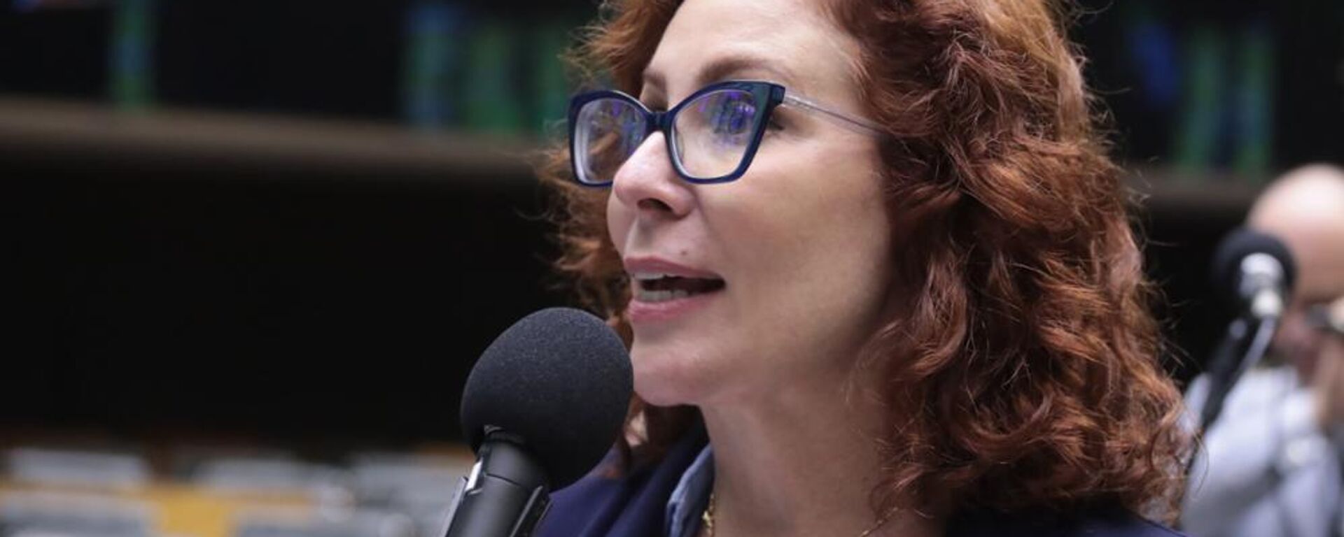 Deputada federal Carla Zambelli (PL-SP) durante votação de propostas legislativas na Câmara. Brasília, 17 de dezembro de 2024 - Sputnik Brasil, 1920, 06.06.2025