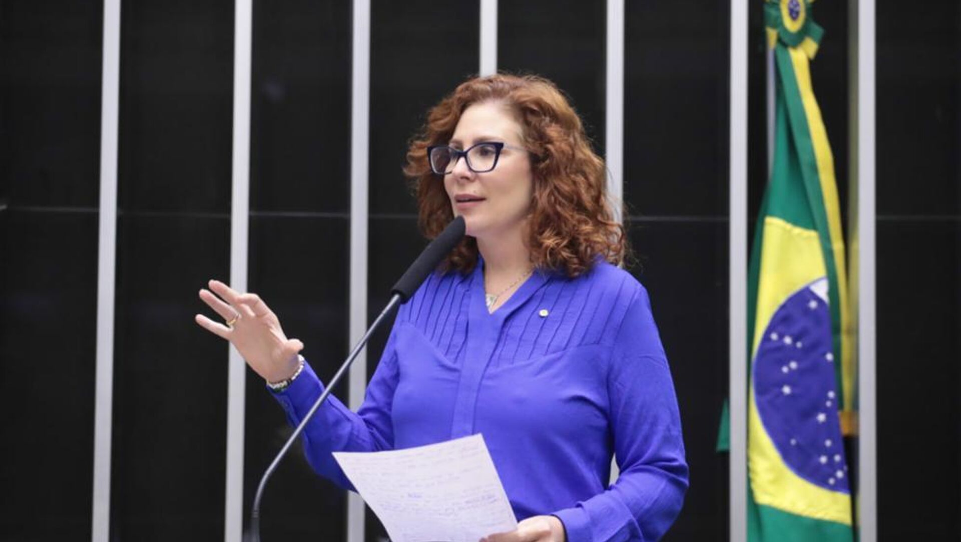 Deputada federal Carla Zambelli (PL-SP) defende projeto de lei no plenário da Câmara durante votação. Brasília, 12 de dezembro de 2024 - Sputnik Brasil, 1920, 14.11.2025