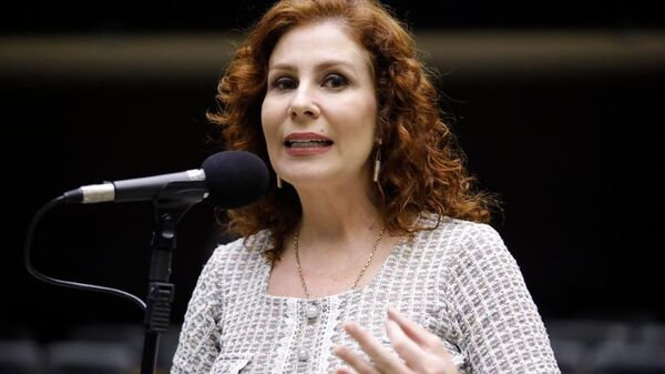 Deputada federal Carla Zambelli (PL-SP) no plenário da Câmara durante votação. Brasília, 27 de novembro de 2024 - Sputnik Brasil