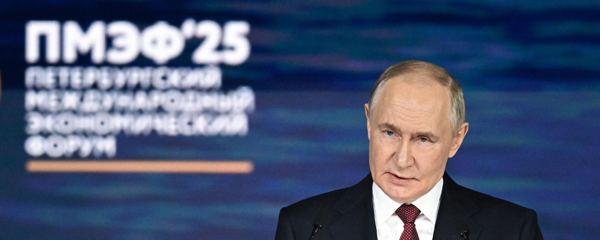 Vladimir Putin na sessão plenária do Fórum Econômico Internacional de São Petersburgo - Sputnik Brasil, 1920, 20.06.2025