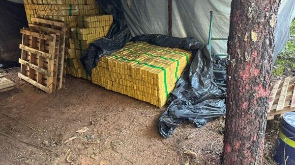 FICCO apreende mais de 8 toneladas de maconha em acampamento clandestino no interior de MS - Sputnik Brasil