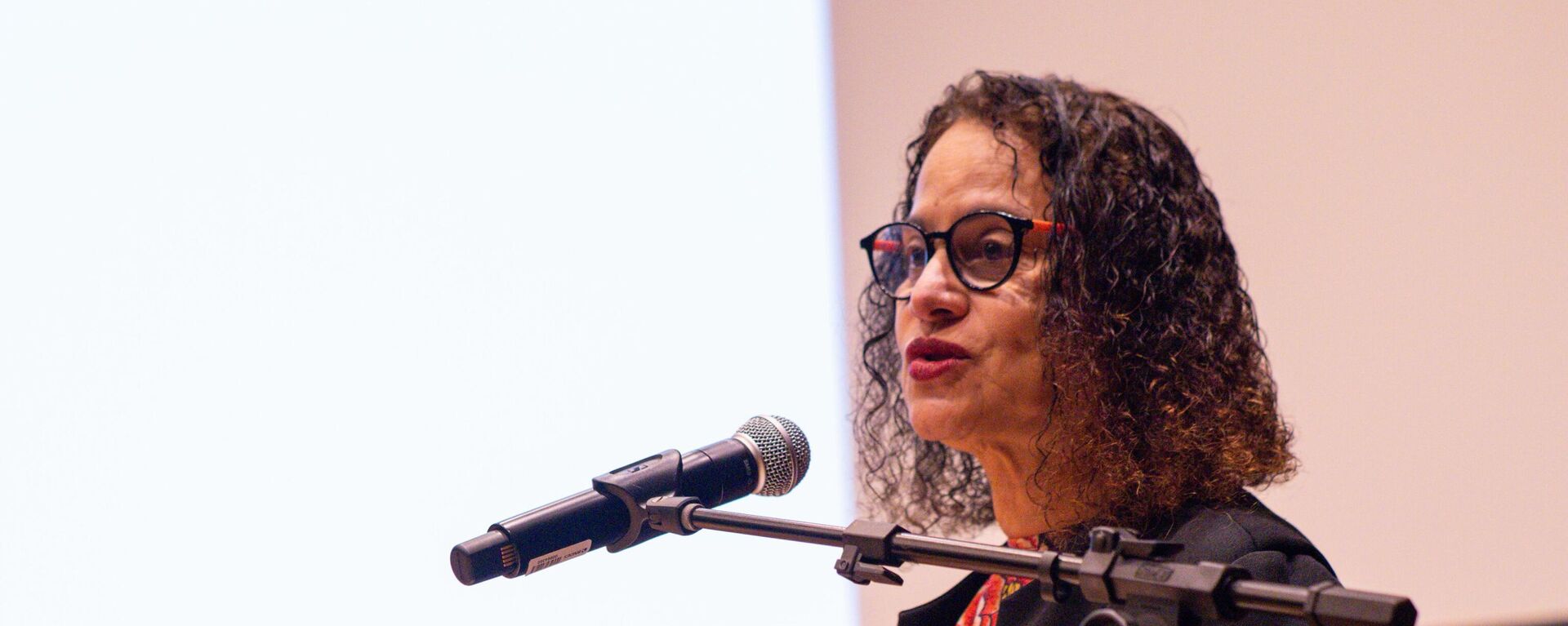A ministra da Ciência, Tecnologia e Inovação, Luciana Santos, durante evento organizado pelo Banco Nacional de Desenvolvimento Econômico e Social (BNDES) no Rio de Janeiro. Brasil, 1º de julho de 2025 - Sputnik Brasil, 1920, 01.07.2025