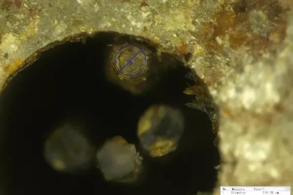 No detalhe, agulhas de acupuntura de aço de 0,3 a 0,5 milímetros de diâmetro com mais de 2.000 anos encontradas no tubo de jade - Sputnik Brasil