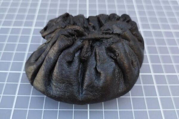 Bolsa para moedas achada durante escavações arqueológicas em Bjorvika, Noruega - Sputnik Brasil