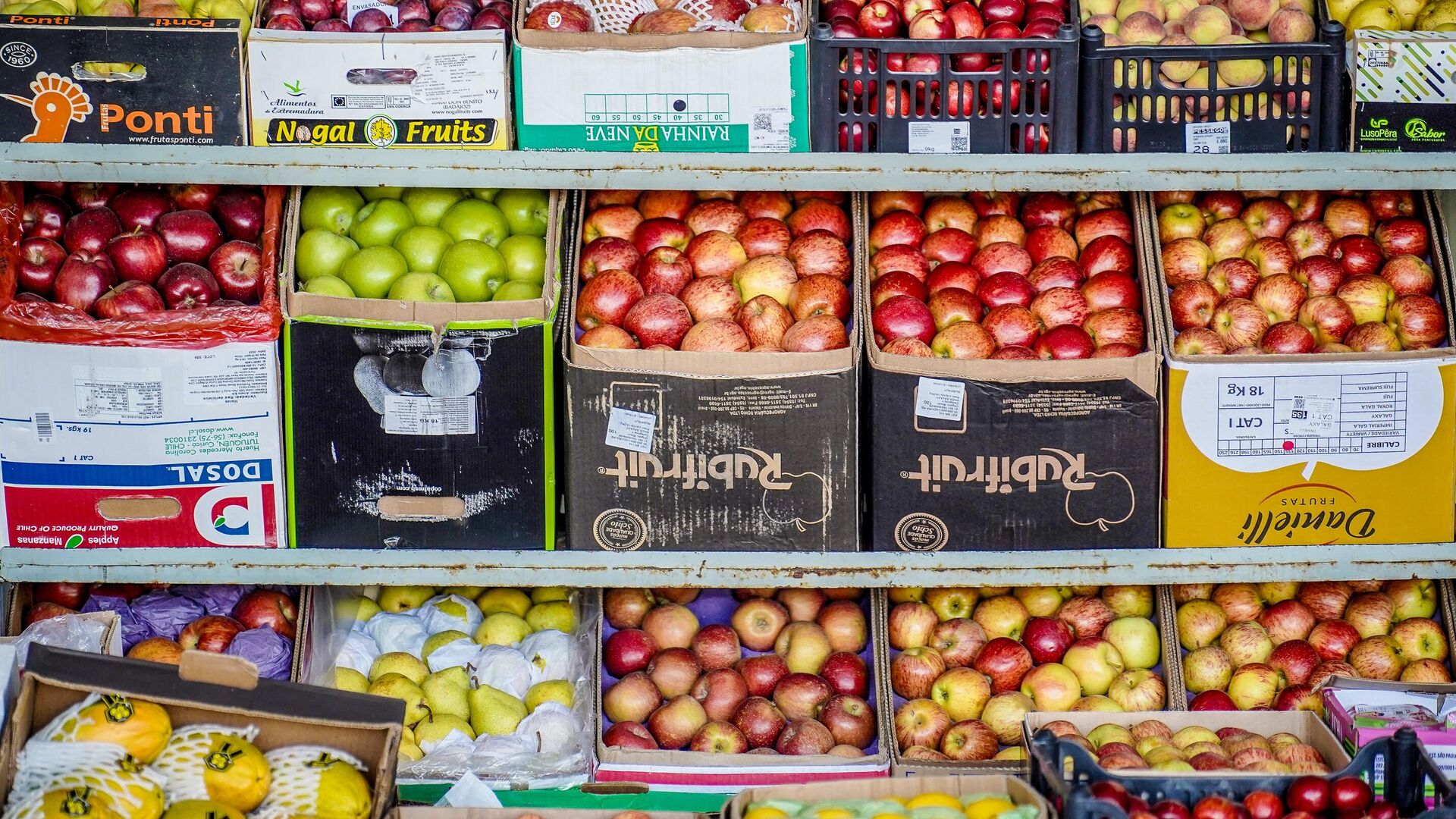 Centrais de Abastecimento do Distrito Federal, a CEASA-DF, tem movimento intenso de pessoas que buscam as melhores frutas, legumes e verduras, Brasília-DF, 10 de novembro de 2023 Centrais de Abastecimento do Distrito Federal, a CEASA-DF, tem movimento intenso de pessoas que buscam as melhores frutas, legumes e verduras, Brasília-DF, 10 de novembro de 2023 - Sputnik Brasil, 1920, 20.07.2025