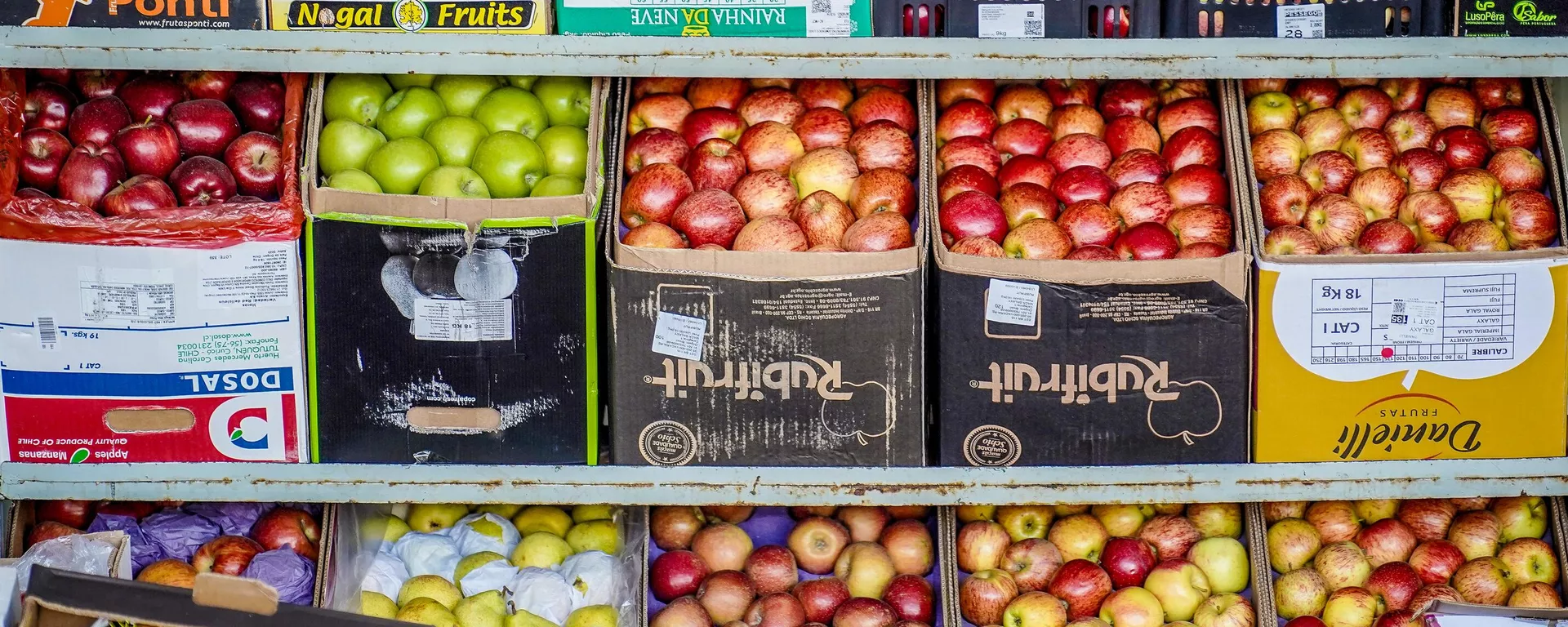 Centrais de Abastecimento do Distrito Federal, a CEASA-DF, tem movimento intenso de pessoas que buscam as melhores frutas, legumes e verduras, Brasília-DF, 10 de novembro de 2023 - Sputnik Brasil, 1920, 20.07.2025