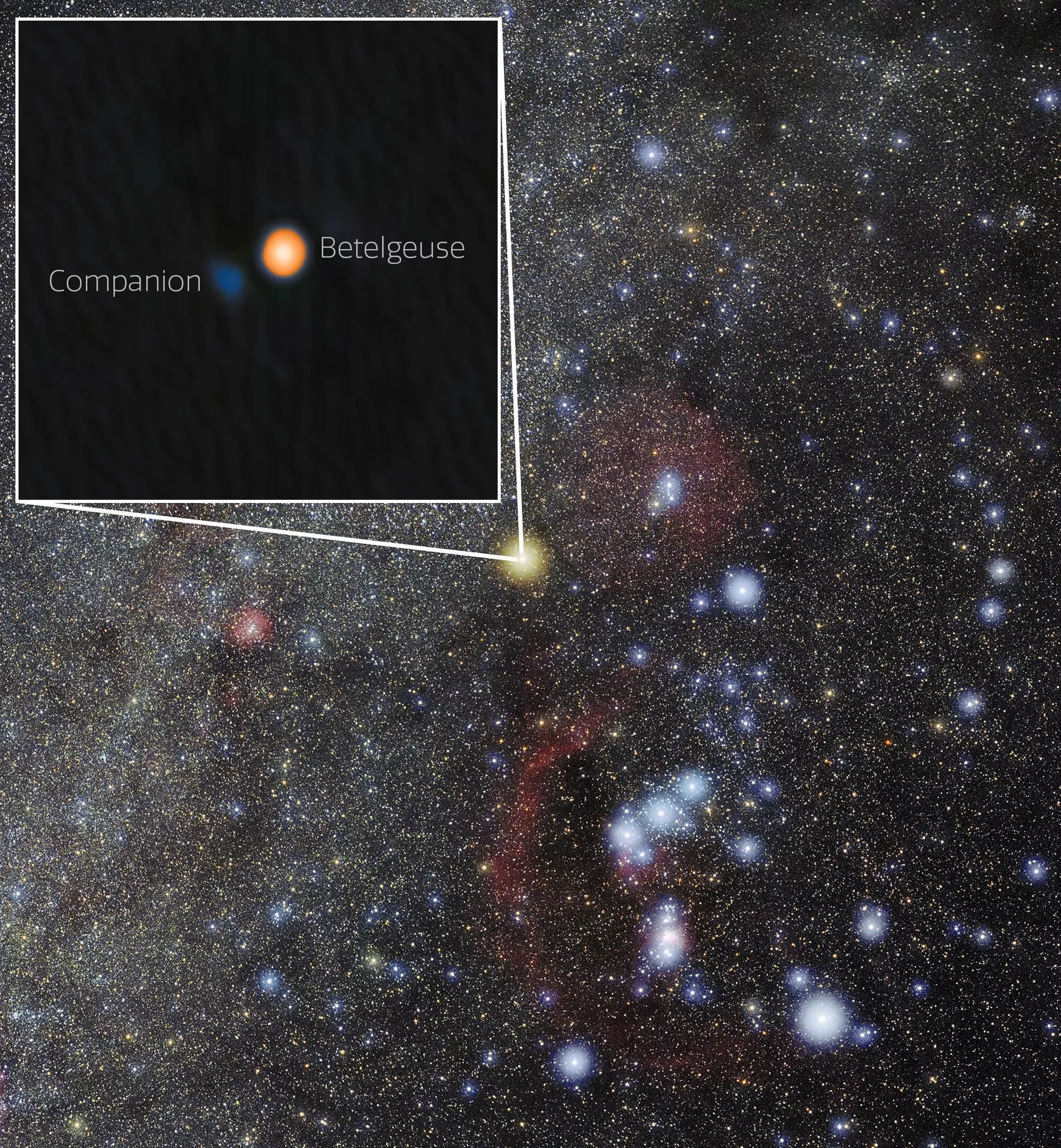A descoberta da estrela companheira de Betelgeuse responde à questão milenar de por que essa famosa estrela sofre uma variação periódica de brilho de aproximadamente seis anos e fornece insights sobre os mecanismos físicos por trás de outras supergigantes vermelhas variáveis. A estrela companheira aparece azul aqui porque, com base na análise da equipe, é provável que seja uma estrela do tipo A ou B, ambas azul-esbranquiçadas devido às suas altas temperaturas A descoberta da estrela companheira de Betelgeuse responde à questão milenar de por que essa famosa estrela sofre uma variação periódica de brilho de aproximadamente seis anos e fornece insights sobre os mecanismos físicos por trás de outras supergigantes vermelhas variáveis. A estrela companheira aparece azul aqui porque, com base na análise da equipe, é provável que seja uma estrela do tipo A ou B, ambas azul-esbranquiçadas devido às suas altas temperaturas - Sputnik Brasil, 1920, 22.07.2025