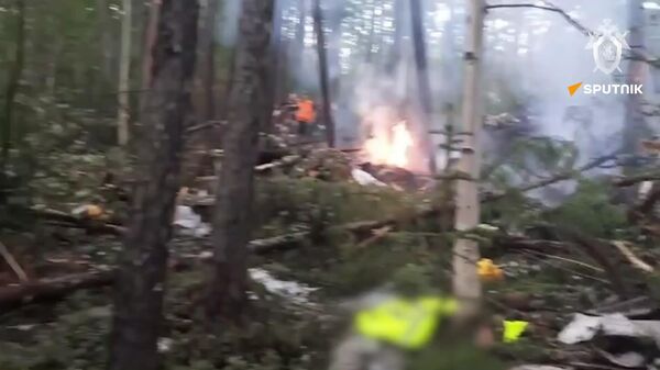 Comitê de Investigação da Rússia publica novas imagens do local da queda do avião An-24 - Sputnik Brasil