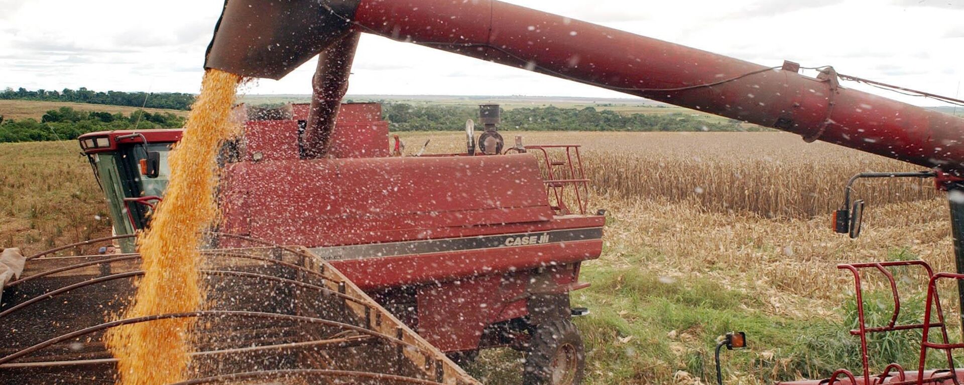 Colheitadeira recolhe grãos em plantação no Brasil - Sputnik Brasil, 1920, 28.07.2025