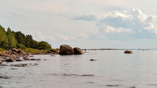 Costa do golfo da Finlândia - Sputnik Brasil