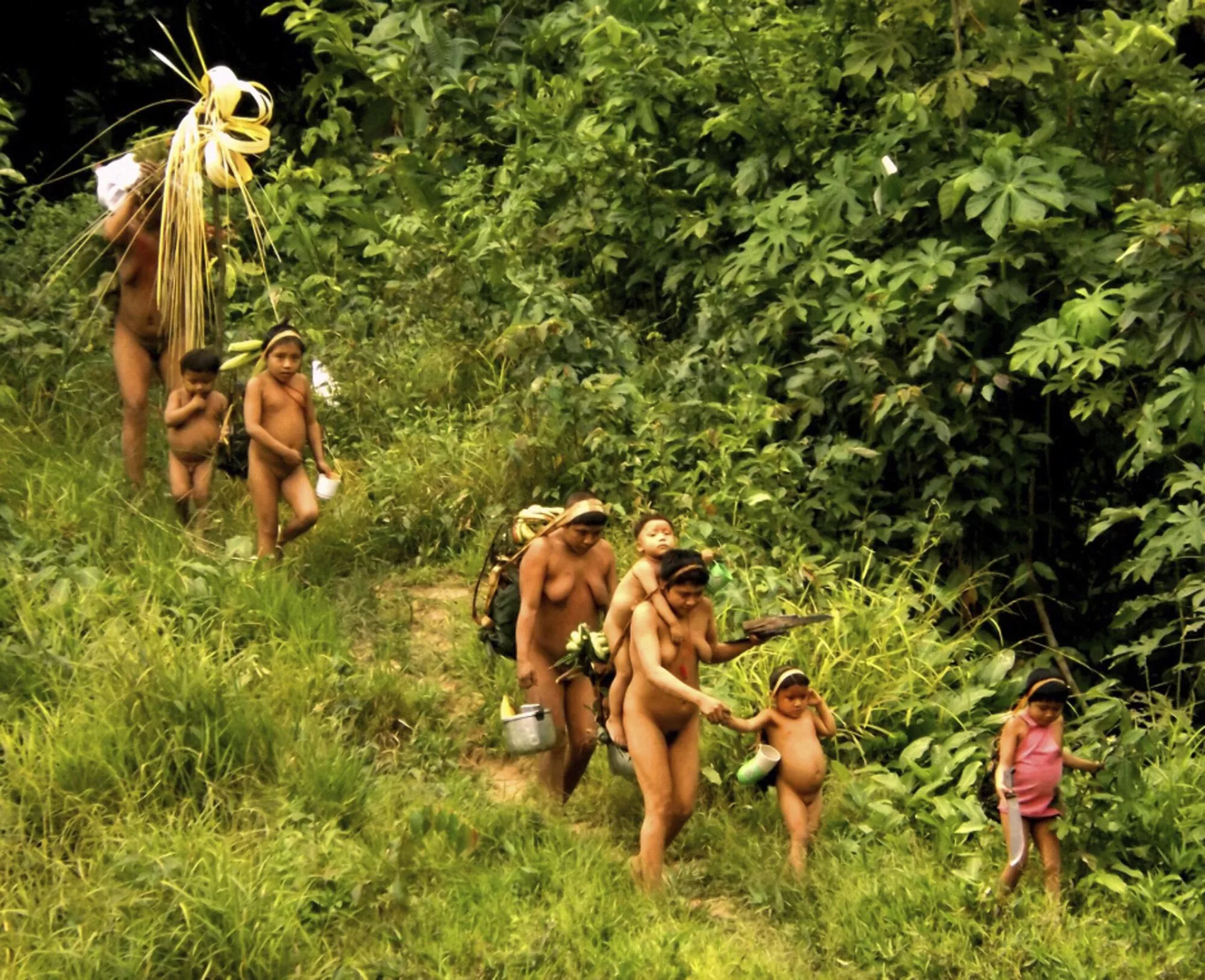 Membros da tribo Korubo caminham em uma trilha no Vale do Rio Javari, no norte do Estado do Amazonas, Brasil - Sputnik Brasil, 1920, 27.07.2025
