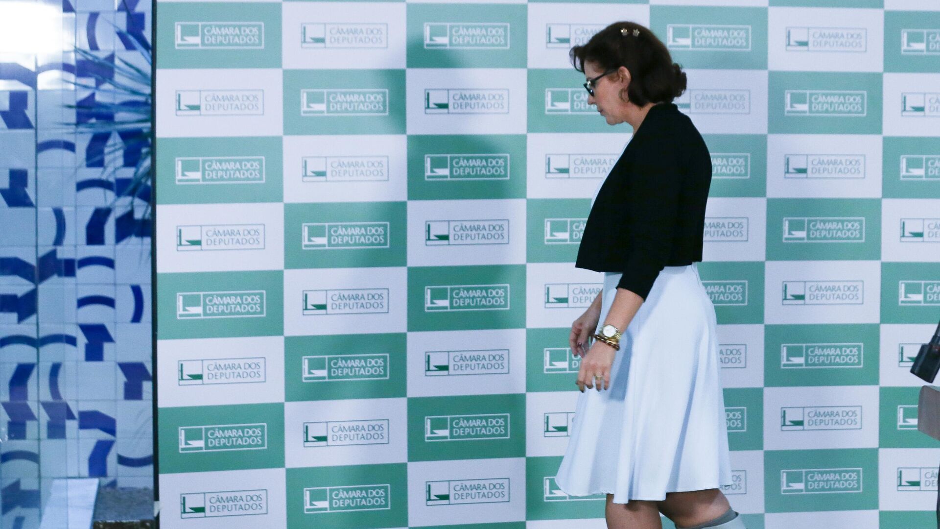 Ex-deputada Carla Zambelli durante coletiva na Câmara dos Deputados. Brasília (DF), 23 de abril de 2024 Ex-deputada Carla Zambelli durante coletiva na Câmara dos Deputados. Brasília (DF), 23 de abril de 2024 - Sputnik Brasil, 1920, 29.07.2025