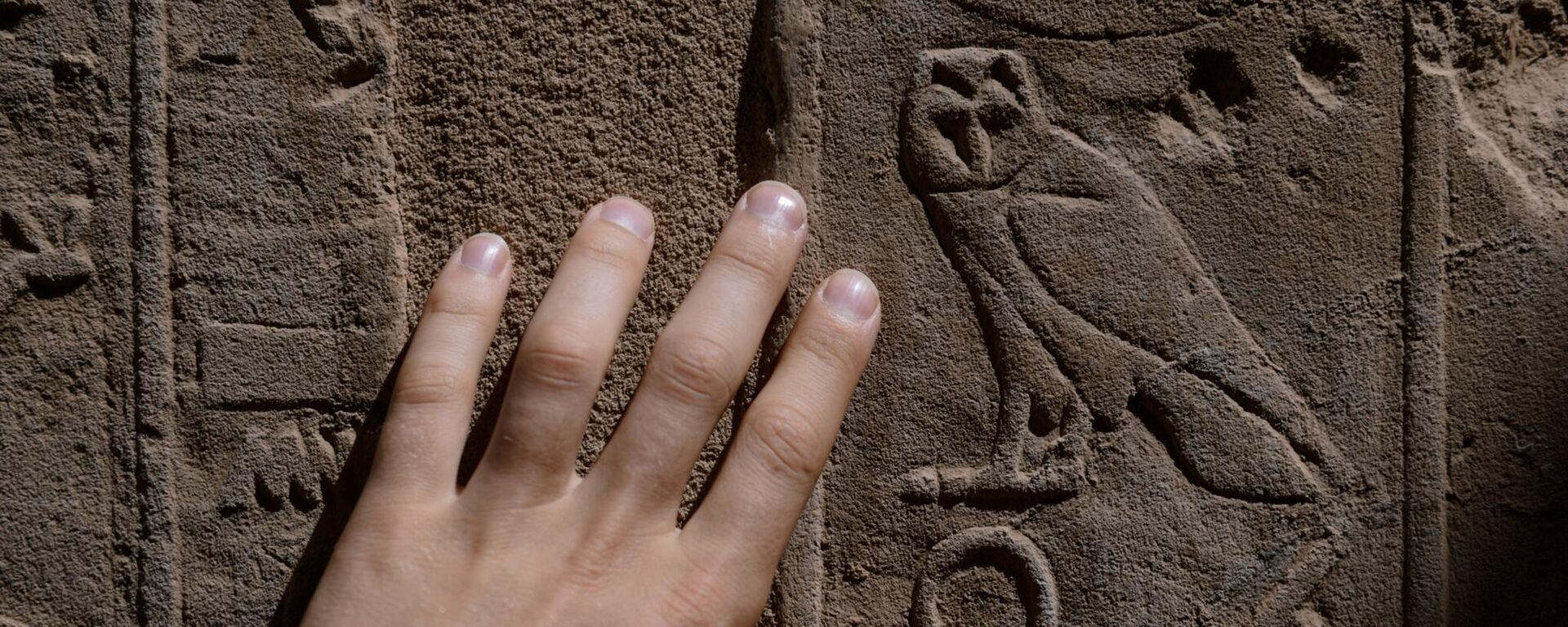 Close-up de um homem tocando hieróglifos egípcios em uma coluna no Complexo do Templo de Karnak, Luxor, Egito - Sputnik Brasil, 1920, 30.07.2025