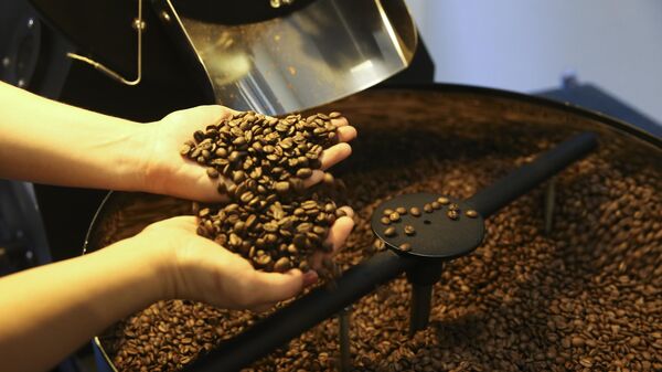 Pequenas torrefações preparam grãos especiais de café - Sputnik Brasil