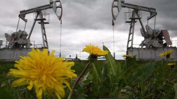 Em meio às ameaças de Trump, OPEP prevê aumento de produção de petróleo para setembro - Sputnik Brasil