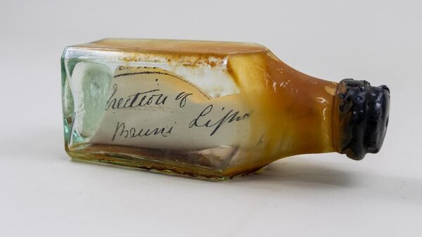 Uma mensagem de 122 anos em uma garrafa foi encontrada escondida dentro de uma cavidade na parede da histórica sala de lanternas no farol de Cape Bruny, na Tasmânia - Sputnik Brasil