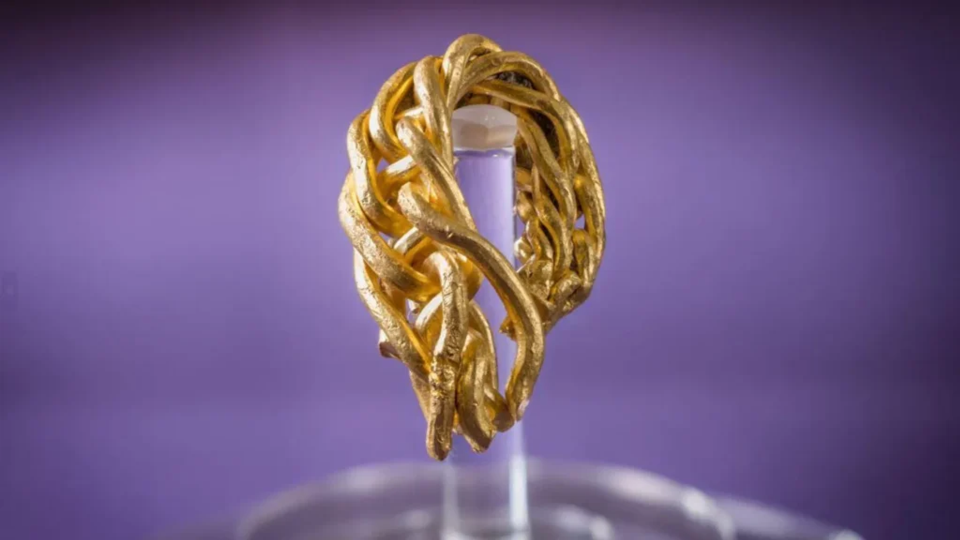 Pulseira de ouro descoberta no sudoeste da Jutlândia, Dinamarca Pulseira de ouro descoberta no sudoeste da Jutlândia, Dinamarca