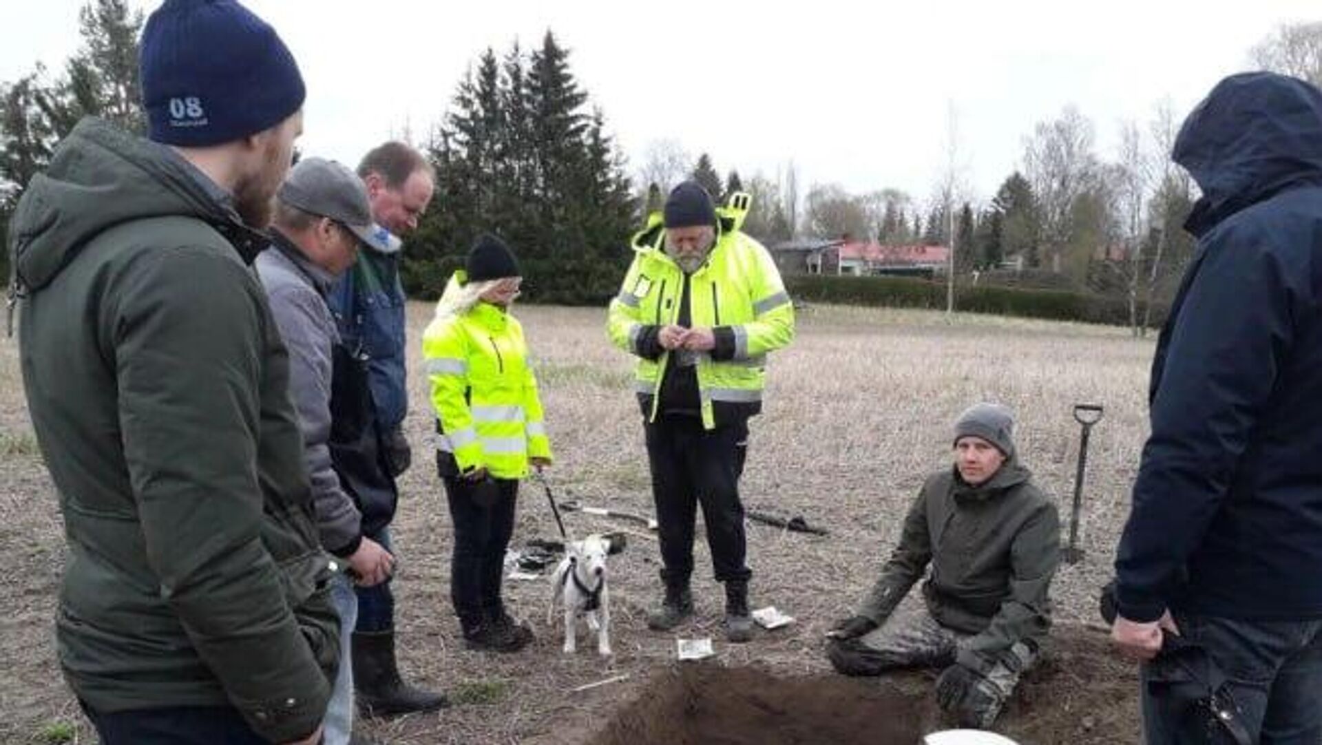 Tesouro viking: broches de ouro mesclam arte nórdica e cristianismo, intrigando cientistas