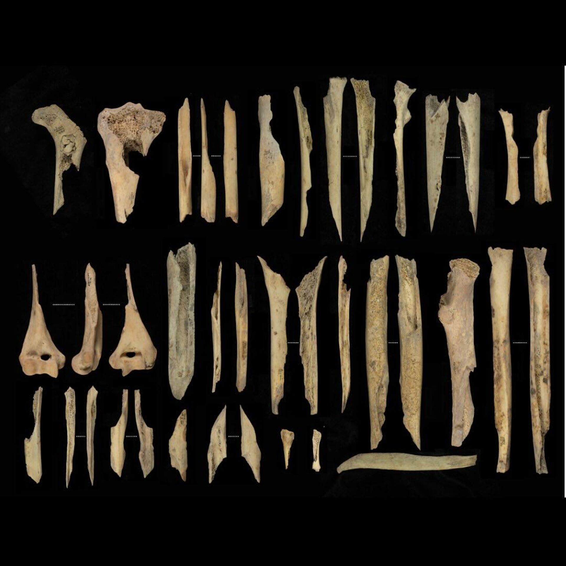 Ossos de membros fragmentados e canibalizados de El Mirador