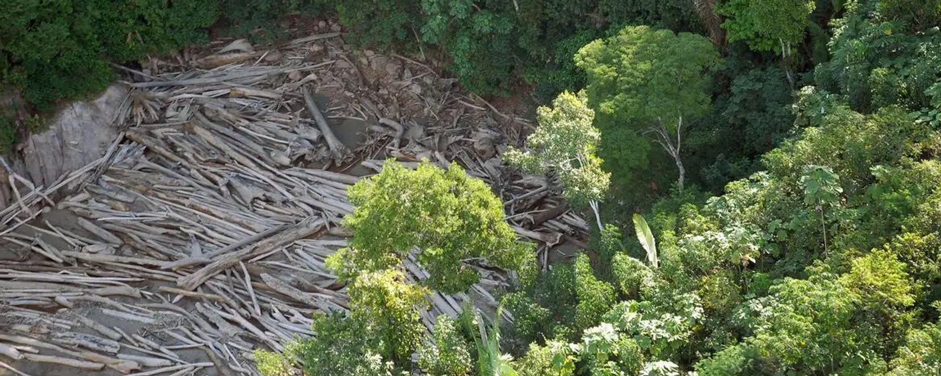 Brasil terá R$ 31 bi para recuperar áreas degradadas até 2027 - Sputnik Brasil, 1920, 17.08.2025