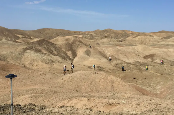 A equipe paleontológica do Projeto de Pesquisa Ledi-Geraru procura fósseis na Bacia Lee Adoyta, na região de Afar - Sputnik Brasil