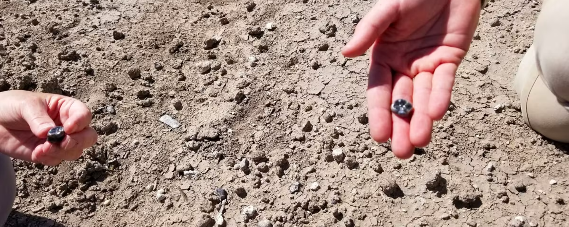 Arqueólogos descobriram dentes de um antigo ancestral humano na região de Afar, na Etiópia - Sputnik Brasil, 1920, 17.08.2025