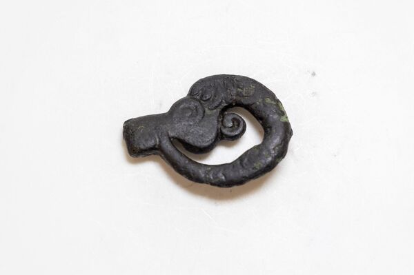 Fivela com cabeça de carneiro-da-montanha - Sputnik Brasil