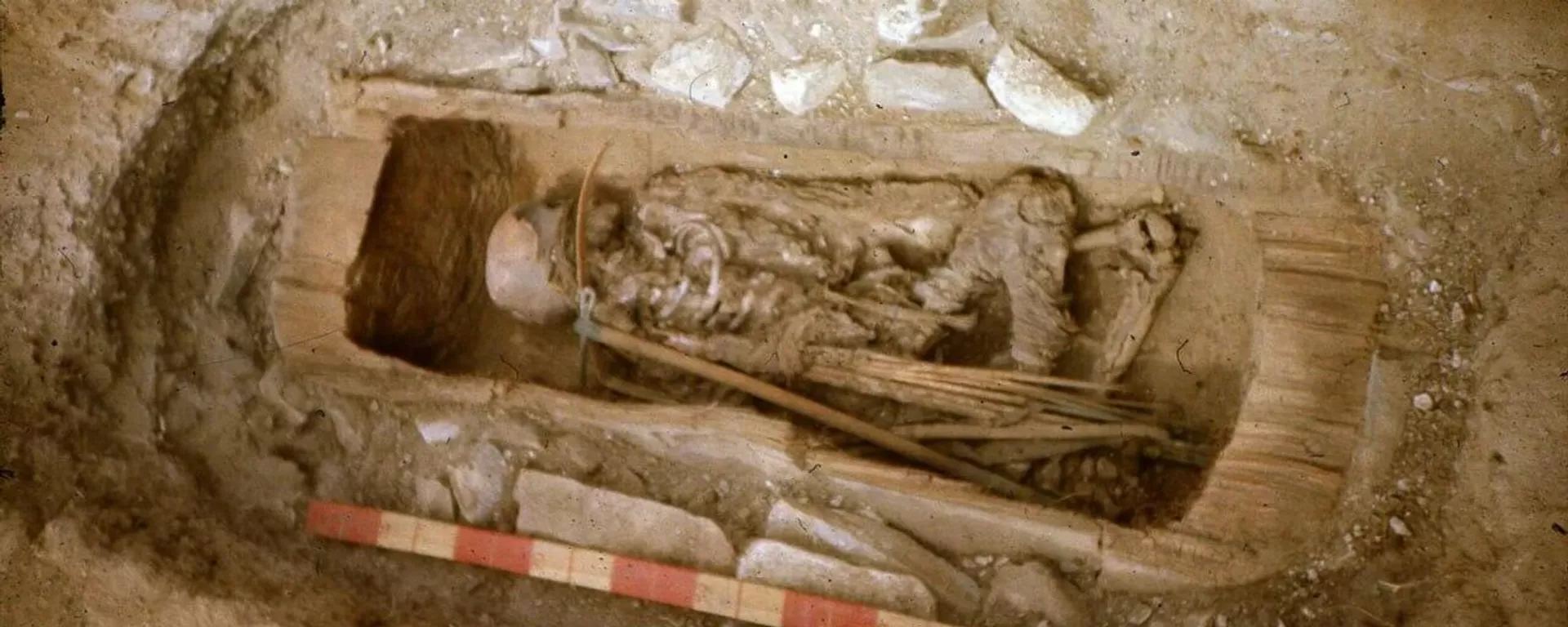 Desenterram na Sibéria sepultamento de um guerreiro cita com artefatos raríssimos Desenterram na Sibéria sepultamento de um guerreiro cita com artefatos raríssimos - Sputnik Brasil, 1920, 29.10.2025