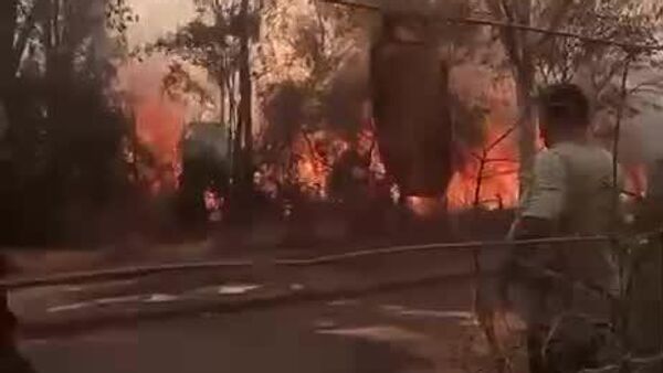 Bombeiros controlam incêndio de grandes proporções em Jaguariúna após 2 dias de combate - Sputnik Brasil