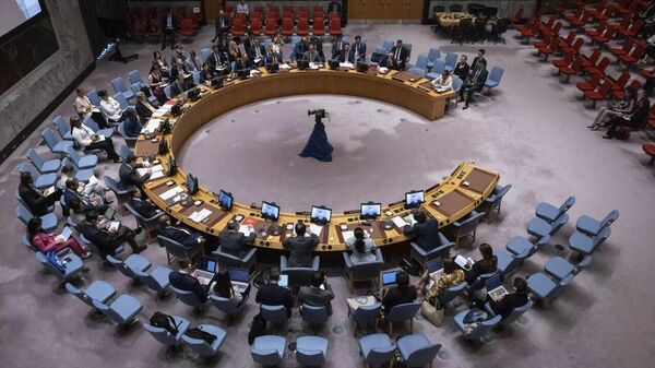 Membros do Conselho de Segurança da ONU pedem cessar-fogo imediato em Gaza - Sputnik Brasil