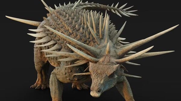 Fóssil de dinossauro blindado revela espinhos gigantes no pescoço e muda visão sobre evolução dos anquilossauros - Sputnik Brasil