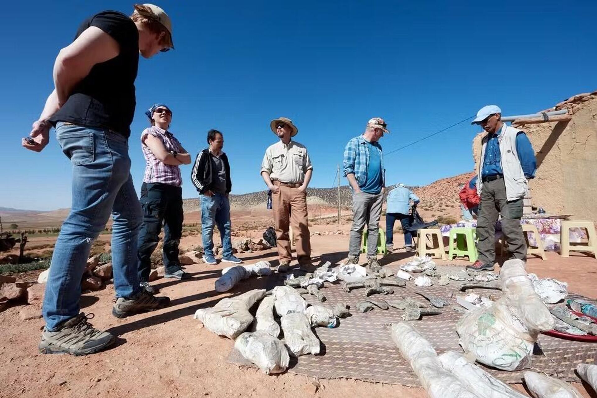Fóssil de dinossauro blindado revela espinhos gigantes no pescoço e muda visão sobre evolução dos anquilossauros - Sputnik Brasil, 1920, 29.08.2025