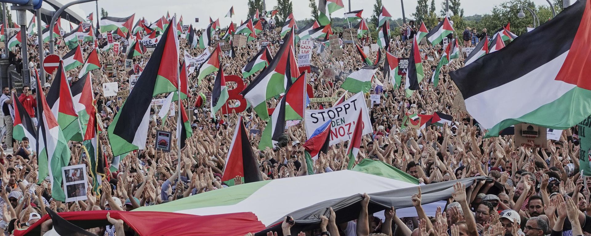 Milhares de pessoas participam de uma manifestação em defesa da Palestina em Frankfurt, na Alemanha, em 30 de agosto de 2025 - Sputnik Brasil, 1920, 01.02.2026