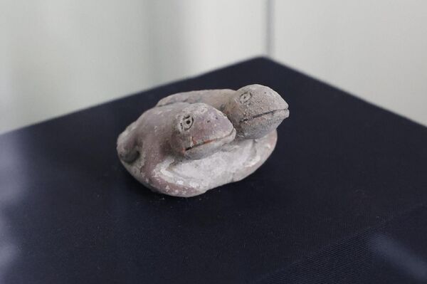 A rara estatueta de sapo de argila de 3.800 anos descoberta no Peru - Sputnik Brasil
