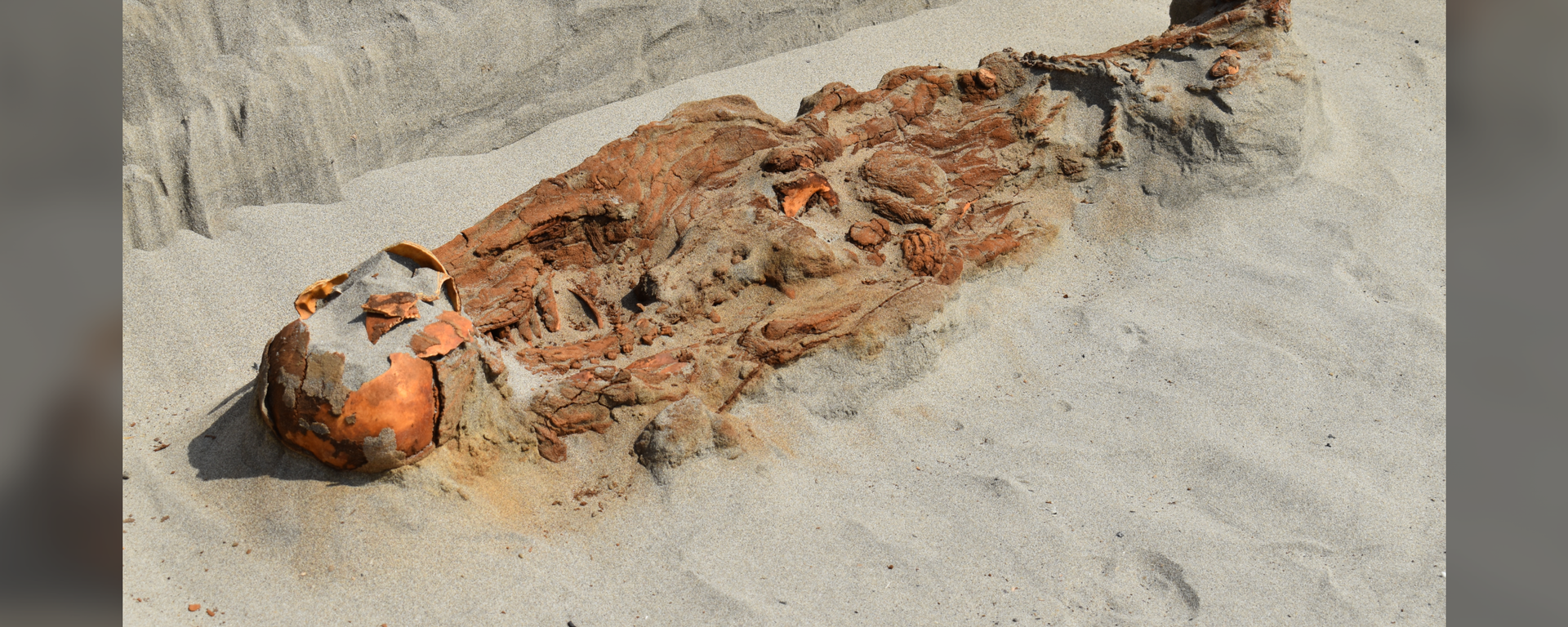 Arqueólogos descobrem enterramentos enigmáticos de 2.300 anos no norte do Peru - Sputnik Brasil, 1920, 01.09.2025