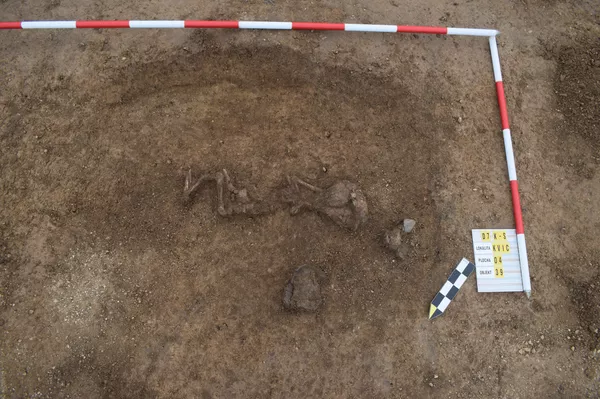 Túmulo de criança em cerâmica com machado em miniatura - Sputnik Brasil