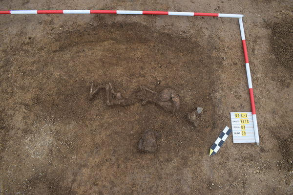 Túmulo de criança em cerâmica com machado em miniatura Túmulo de criança em cerâmica com machado em miniatura - Sputnik Brasil