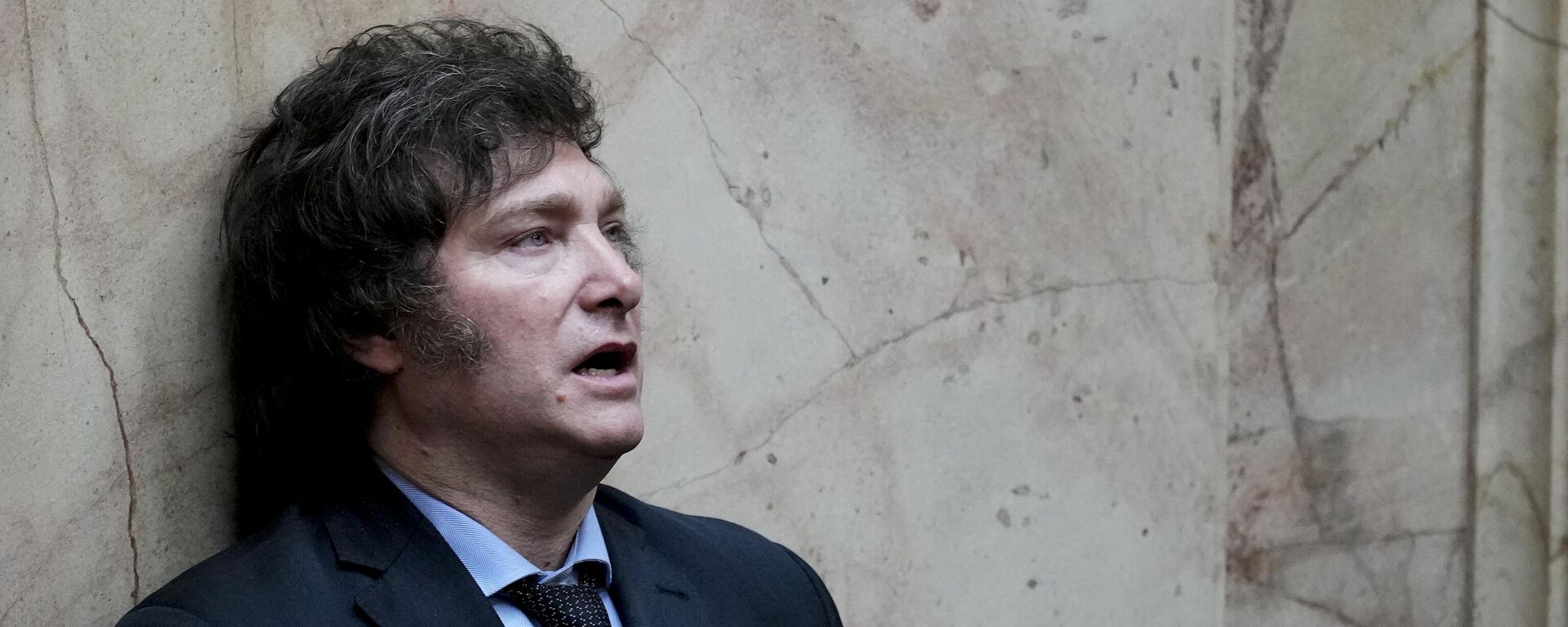 O presidente argentino Javier Milei participa de uma sessão conjunta do Congresso para declará-lo oficialmente, junto com sua companheira de chapa, vencedores do segundo turno das eleições presidenciais, em Buenos Aires, Argentina, 29 de novembro de 2023 - Sputnik Brasil, 1920, 16.09.2025