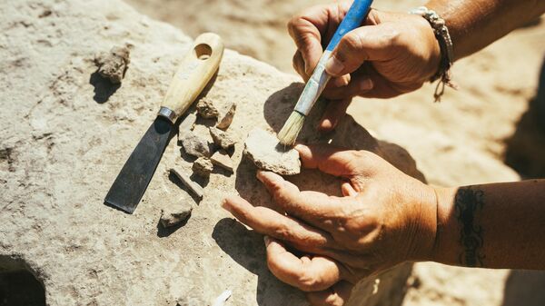 Arqueólogo usando uma escova para limpar um pedaço de cerâmica antiga em um sítio arqueológico (imagem de referência) - Sputnik Brasil