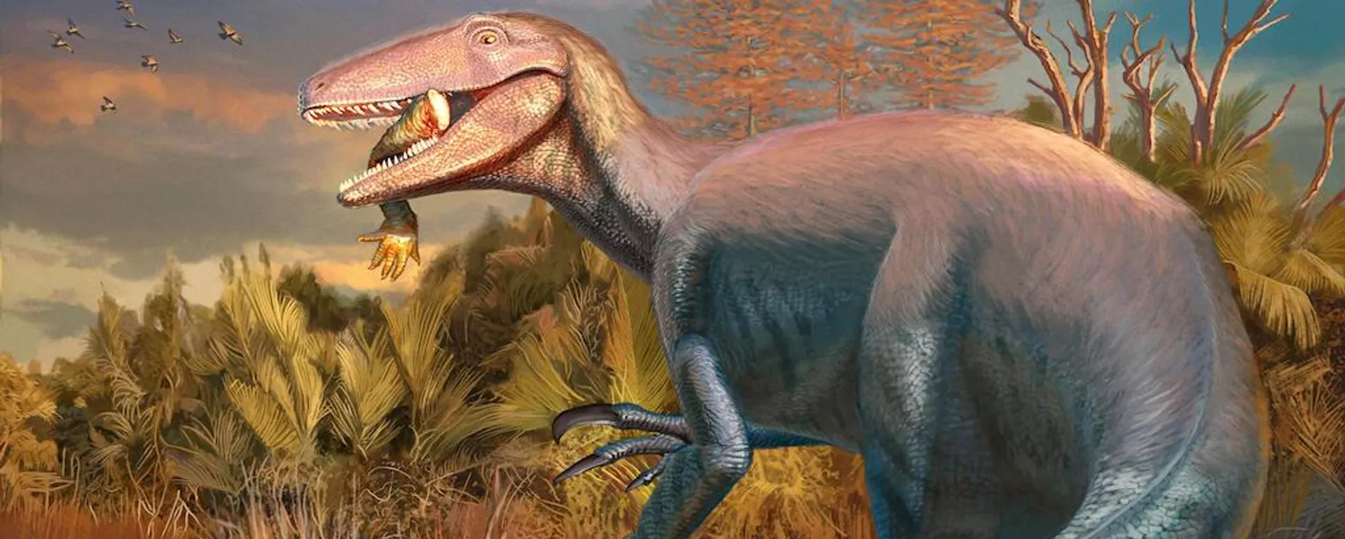 Descoberto novo megaraptor na Argentina: fóssil sugere que espécie devorava crocodilos - Sputnik Brasil, 1920, 24.09.2025